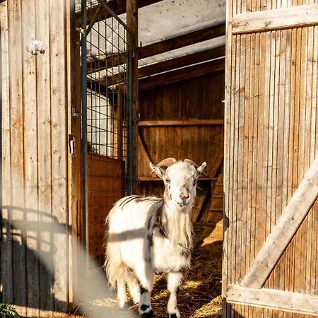 Klosterblick Apartman Inzigkofen