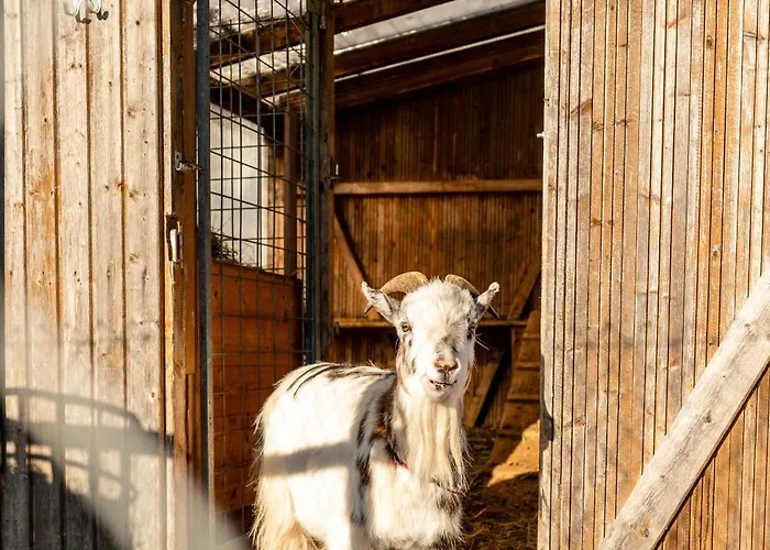 Klosterblick Lägenhet Inzigkofen